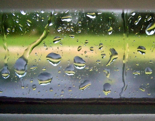 wet window photo