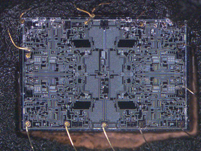 Decapsulated component showing internal die and wire bond structures