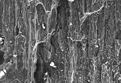 SEM close up of fracture surface